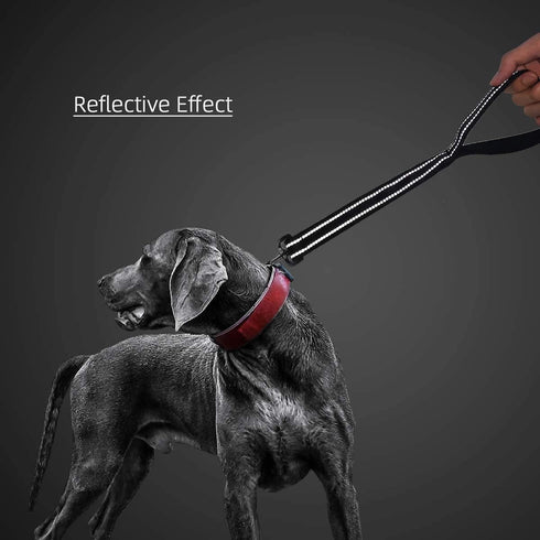 Short Dog Leash, Nylon Traffic Leash with Padded Handle, Reflective Threads for Small Medium Large Dogs