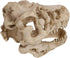2Pcs Small Resin Dinosaur Skull Skeleton Aquarium Decoration, Fish Tank Cave for Reptile House
