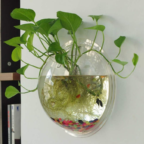 Wall Mounted Acrylic Fish Bowl, 7 Inch Clear Hanging Flower Pot Vase Decoration for Aquarium Plant Wall Decor