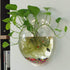 Wall Mounted Acrylic Fish Bowl, 7 Inch Clear Hanging Flower Pot Vase Decoration for Aquarium Plant Wall Decor