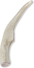 Prairie Dog Antlers, North American Whole Deer Antler, MEDIUM, Naturally Shed, 6-7.5 inches long