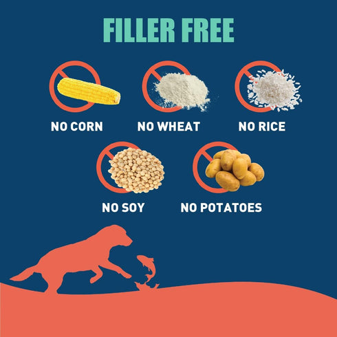 Wild Salmon SUPER3+ Dry Dog Food, High-Protein Blend with Freeze-Dried Raw Salmon, 3-lbs