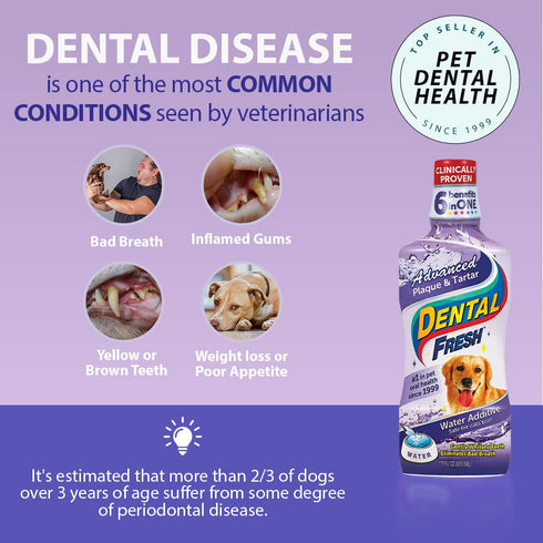 Dental Fresh Advanced Water Additive, 17oz – Dog Teeth Cleaning Formula for Oral Health and Fresh Breath