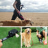 2 Pack Dog Poop Bag Dispenser - Leash Pet Dog Waste Bag Holder in Black