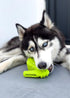 Super Shoe Dog Toy for Aggressive Chewers, Rubber Natural Teething Toys, Treat Dispenser and Toothbrush for Small