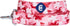 Blueberry Pet Essentials Pink Camo Print Camouflage Dog Leash, 5 ft x 3/4", Medium, Leashes for Dogs