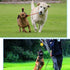 2 Pack Dog Ball, K9 Ball on Rope for Fetch, Reward, Play (6cm)