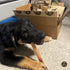 Bully Bunches Premium 6 Inch Thick Odor-Free Bully Sticks for Small & Medium Dogs, Long Lasting Chews for Oral Care, 10