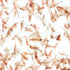 Aquatic Foods Inc. 90% 50 -1.76oz Brine Shrimp Artemia Eggs, Premium Grade Hatch Rate Brine Shrimp Eggs from The Great