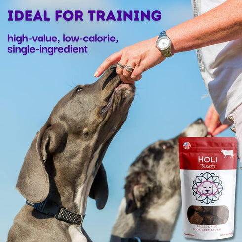 HOLI Freeze Dried Liver Treats for Dogs - All Natural Healthy Beef Liver, 100% Made in USA, Grain Free