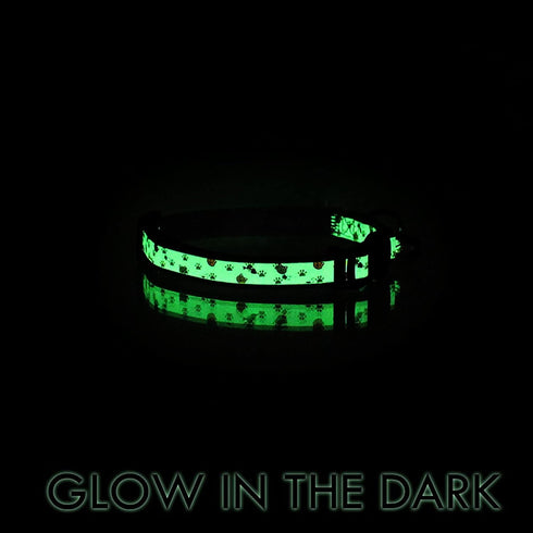 Pawtitas Pet Glow In The Dark Cat Collar with Safety Buckle and Bell, Green Hook