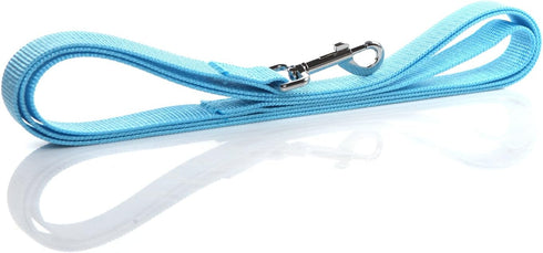 Nylon Dog Leash 4 Ft 5 Feet 6 Foot Long, 1 Inch Wide, Blue, Walking Training Leashes for Medium Large Dogs (6ft)