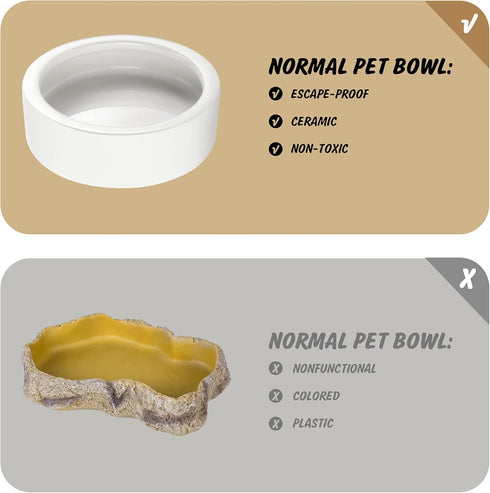 Large Worm Dish - 2 Pcs Ceramic Pet Bowls for Reptiles, Mealworms Bowl for Bearded Dragon, Chameleon