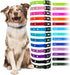 Heavy Duty Nylon Replacement Dog Collar Strap - Red, Compatible with Most Underground Electric Dog Fences