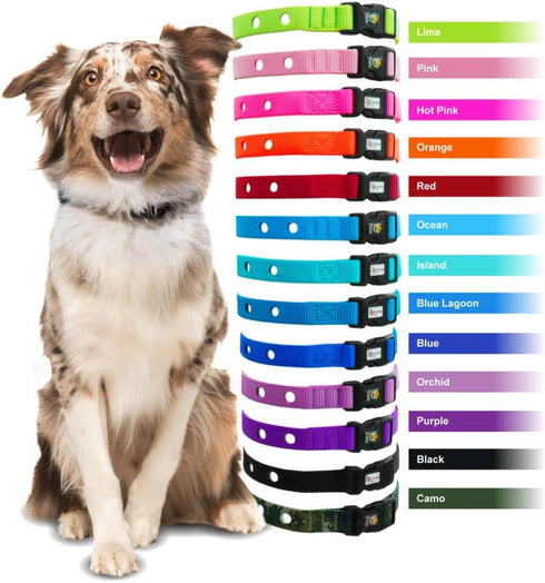 Heavy Duty Nylon Replacement Dog Collar Strap | Compatible with Most Brands of Underground Electric Dog Fences | Hot