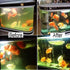 5W 7W 13W U-VC Aquarium Green Clean Light, Waterproof Fish Tank Algae Clean Light