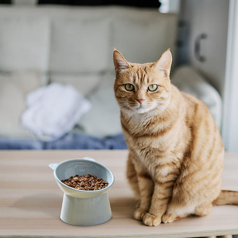 Tilted Cat Food Bowl - Blue Slanted, Whisker Friendly, Anti Vomiting Cat Bowl
