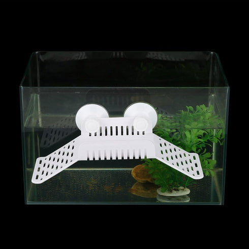 Turtle Basking Terrace Floating Dock for Fish Reptile Tortoise Pet Supplies White