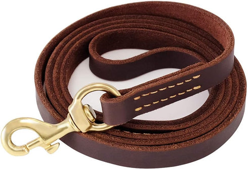 FAIRWIN Leather Dog Leash, 6 Foot, Heavy Duty for Large Medium Small Dogs (5/8", Brown)