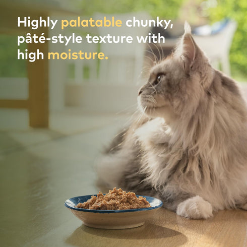 ZIWI Peak Canned Wet Cat Food, All Natural, High Protein, Grain Free, Limited Ingredient, Superfoods (Mackerel, Case of