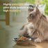 ZIWI Peak Canned Wet Cat Food, All Natural, High Protein, Grain Free, Limited Ingredient, Superfoods (Mackerel, Case of
