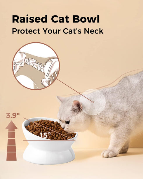 Elevated Cat Food Bowl, 5 Oz Ceramic Raised and Tilted Water Bowl, Anti Vomiting Dishes for Small Dogs and Cats, White