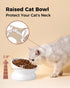 Elevated Cat Food Bowl, 5 Oz Ceramic Raised and Tilted Water Bowl, Anti Vomiting Dishes for Small Dogs and Cats, White