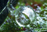 Glass Lily Pipe Spin Outflow and Inflow, 13mm for 1/2" i.d. Tube for Aquarium Planted Tank Aquascaping