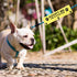 JXGZSO Adopt Me I’m A Foster Leash Sleeve Wrap, Dog Gift for Dog Owners