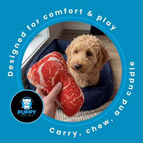 Puppy Play Toys 5-Pack: Set Squeaky Dog Toys Realistic Steak, Chicken Leg & Shrimp Plush Chew Toys for All Dog Sizes