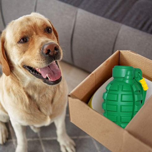 Dog Chew Toys for Aggressive Chewers - Food Grade Non-Toxic Durable Toys for Small Medium Large Dogs, Green