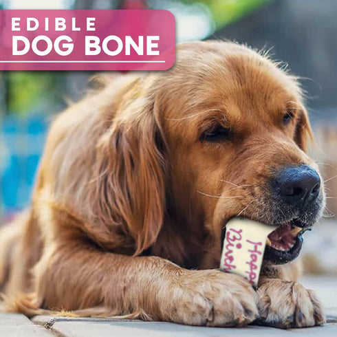 Girl Happy Birthday Dog Bone - Molasses Based Recipe, Human Grade Ingredients, Made in USA