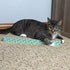 Kitty City Corrugate Cat Scratch Pad, Cat Non-Stick Litter Scoop, Cat Litter Mats, Cat Litter Box Kit
