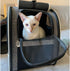 Texsens Pet Carrier Backpack - Ventilated Design with Window Blind for Small Cats & Dogs, Collapsible, Ideal for Travel