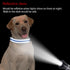 Lionheart Glory Reflective Dog Collar, Durable Soft Classic Collar for Small Dogs, Blue Pet Gift