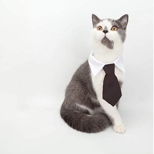 HUYADAPI Pet Bow Tie Adjustable Collar and Costume Top Hat for Cats, Dogs, 2 Pieces