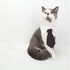 HUYADAPI Pet Bow Tie Adjustable Collar and Costume Top Hat for Cats, Dogs, 2 Pieces