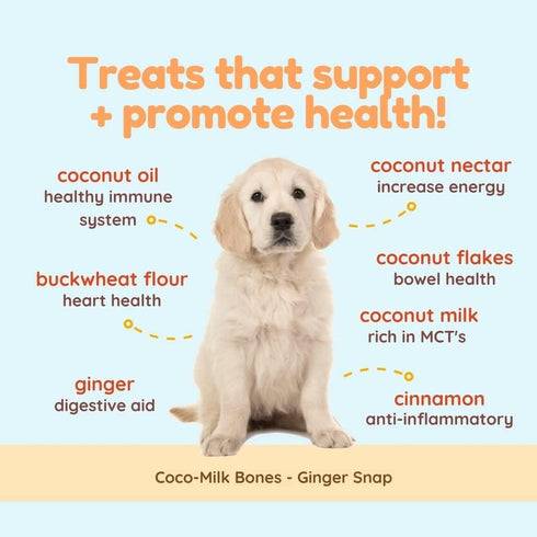 CocoTherapy Ginger Coco-Milk Bones - 3 Pack, 6 Ounces Each, USDA Organic