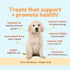 CocoTherapy Ginger Coco-Milk Bones - 3 Pack, 6 Ounces Each, USDA Organic