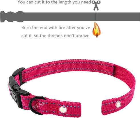 Dog Replacement Collar Strap for Electronic Fence - Compatible with Nearly All Brands and Models, 3/4 Inch Nylon