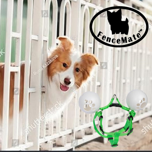 FenceMate Dog Safety Harness to Keep Pets Safe, Small Size Fits Chest 12"-16"