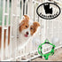 FenceMate Dog Safety Harness to Keep Pets Safe, Small Size Fits Chest 12"-16"