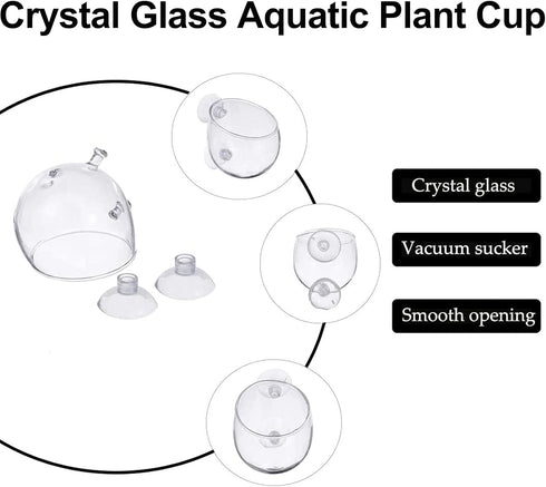 Tfwadmx 4 Pack Aquarium Plant Holder Crystal Glass Plant Pot with Suction Cups for Fish Tank Aquascape