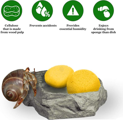 Hermit Crab Sponges for Water, 3 Pack Unbleached Accessories & Supplies, Nutrients and Humidity Maintenance