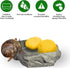 Hermit Crab Sponges for Water, 3 Pack Unbleached Accessories & Supplies, Nutrients and Humidity Maintenance