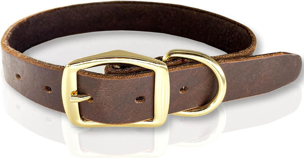 Leather Dog Collar with Heavy Duty Hardware, Full Grain Ultra Soft Genuine Cowhide, Metal Buckle, Medium (13-19" Neck)