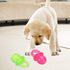 Jiawu Dog Pacifier Chew Toy, 2Pcs Pet Puppy Molar Chewing Teeth Cleaning Toy with Built-in Sounder for Small Medium Dogs (Red+Green)