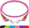 6 Foot Heavy Duty Dog Tie Out Rope Leash, Climbing Nylon Basic Leash for Indoor and Outdoor