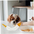 Ipetboom 4 Sets Lightweight Pet Feeding Tube Kit for Kittens and Puppies