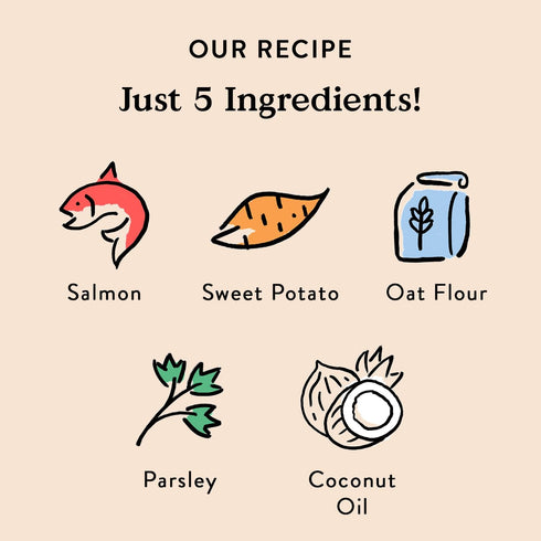 Bocce's Bakery Fish & Chips Treats for Dogs, Special Edition Wheat-Free, All-Natural Salmon & Sweet Potato Biscuits, 5